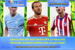 Barcelona bất ngờ nhắm đến cả haaland lẫn kane, alvarez không còn là lựa chọn?