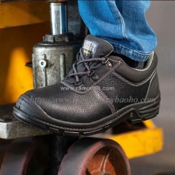 Cách kiểm tra giày bảo hộ tại hải phòng