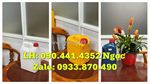Can nhựa 500ml đựng dung dịch y tế, can 1 lít đựng nhớt, can 2 lít đựng thức uống pha loãng