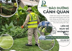 Cắt cỏ – chăm sóc cảnh quan kcn nhơn trạch đồng nai