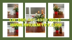 Chai 1 lít đựng hóa chất, vỏ chai nhựa 0.5 lít dày, bình nhựa 250ml đựng hóa chất tại tphcm