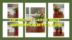 Chai 1 lít đựng hóa chất, vỏ chai nhựa 0.5 lít dày, bình nhựa 250ml đựng hóa chất tại tphcm