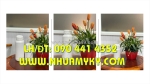 Chai lọ 100ml xịt nước lau kính, chai nhựa 250ml đựng axit nóng loãng, chai thủy tinh 500ml đựng axit