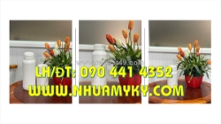 Chai lọ 100ml xịt nước lau kính, chai nhựa 250ml đựng axit nóng loãng, chai thủy tinh 500ml đựng axit