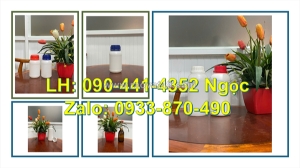 Chai thủy tinh 1 lít đựng hóa chất lên men, bình thủy tinh 500ml đựng chất làm sạch bề mặt