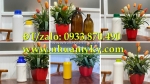 Chai thủy tinh 250ml đựng axit nóng, chai lọ nhựa 500ml đựng hóa chất ngành thiết kế xây dựng