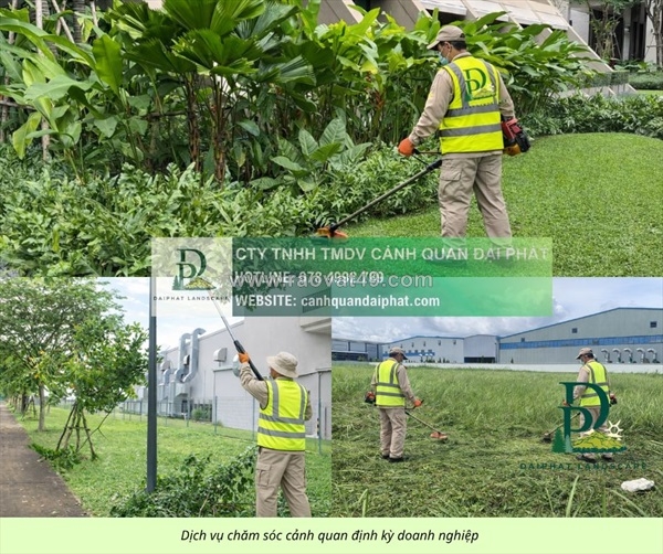 ~/Img/2026/9/cham-soc-cay-xanh-bao-duong-canh-quan-dong-nai-02.jpg