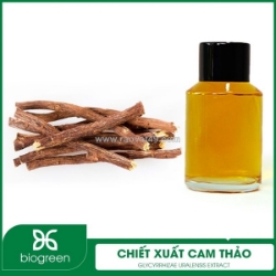 Chiết xuất cam thảo - nguyên liệu mỹ phẩm thiên nhiên