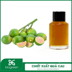 Chiết xuất quả cau - ứng dụng quả cau trong sản xuất mỹ phẩm