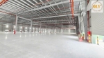 Cho thuê cụm nhà xưởng quy mô lớn kcn bình dương 107.643m²