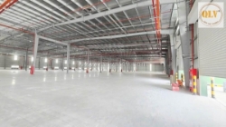 Cho thuê cụm nhà xưởng quy mô lớn kcn bình dương 107.643m²