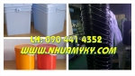 Chuyên cung cấp thùng đựng sơn 12 lít, vỏ thùng đựng sơn 16 lít quai sắt, thùng sơn nhựa pp  lít vuông