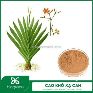 Cung cấp cao khô rẻ quạt xạ can hàng chất lượng cao giá tốt