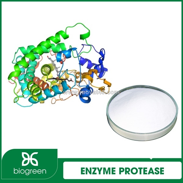 ~/Img/2026/9/cung-cap-enzyme-protease-hang-chat-luong-cao-gia-tot-01.jpg