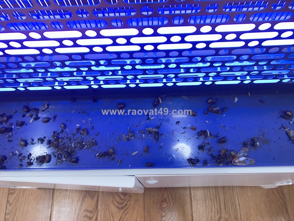 Đèn thu hút và tiêu diệt côn trùng ktp-40s