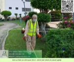 Dịch vụ cắt cỏ – cắt tỉa cây xanh tphcm giá rẻ