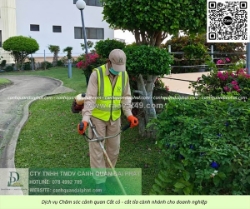 Dịch vụ cắt cỏ – cắt tỉa cây xanh tphcm giá rẻ