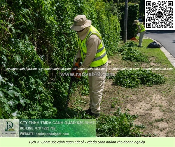 ~/Img/2026/9/dich-vu-cat-co-cat-tia-cay-xanh-tphcm-gia-re-02.jpg