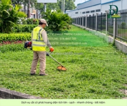 Dịch vụ cắt cỏ – chăm sóc cây xanh lộc an bình sơn đồng nai