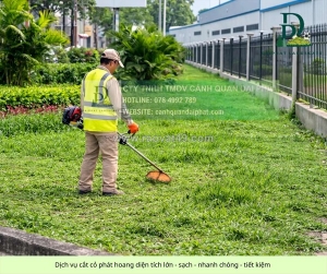 Dịch vụ cắt cỏ – chăm sóc cây xanh lộc an bình sơn đồng nai