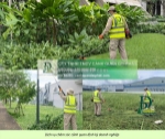 Dịch vụ cắt cỏ cưa cây thủ đức tphcm