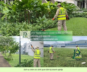 Dịch vụ cắt cỏ cưa cây thủ đức tphcm