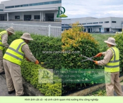 Dịch vụ cắt cỏ kcn lộc an bình sơn đồng nai