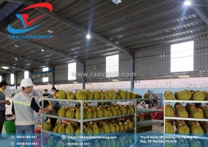 Dịch vụ thi công kho lạnh đắk lắk bảo quản nông sản giá rẻ