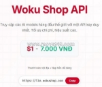 Đơn vị cung cấp, đáp ứng đa dạng api ai giá rẻ hỗ trợ xây dựng ý tưởng uy tín