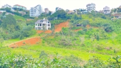 E đang có 8.000m2 hẻm khe sanh, p10 - đà lạt, lâm đồng