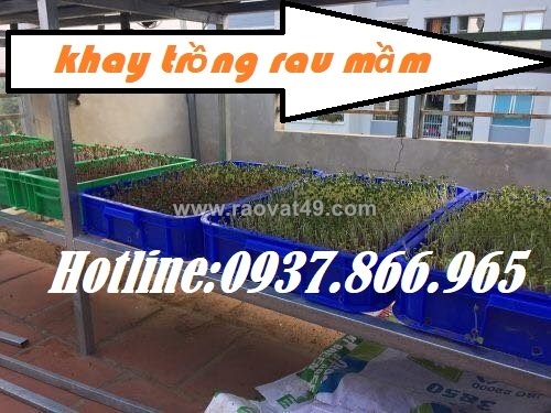 ~/Img/2026/9/gia-khay-nhua-tai-ha-noi-khay-nhua-hop-nhua-thung-nhua-khay-nhua-cao-10-02.jpg