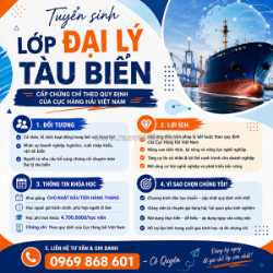 Học chứng chỉ đại lý tàu biển tại khánh hòa