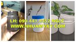 Hủ nhựa 500g vuông, hủ nhựa 1 ký đựng bữa sáng, hủ nhựa 2 ký đựng kim chi xuất khẩu