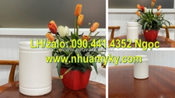 Hủ nhựa 50g đựng muối hạt, hủ nhựa 100g đựng nước sốt, hủ nhựa 200gr đựng mứt sấy dẻo