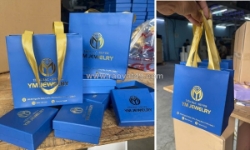 In túi giấy đựng quà tặng theo yêu cầu - đơn từ 500 cái giá tại xưởng in túi giấy hcm