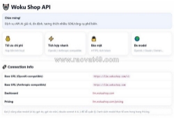 Khi nào nên mua api ai? api ai giá rẻ có phù hợp với dự án lâu dài?