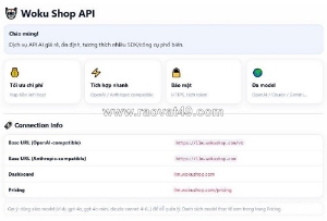 Khi nào nên mua api ai? api ai giá rẻ có phù hợp với dự án lâu dài?