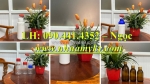 Lọ 50ml đựng nước rửa vết thương, chai lọ 100ml nhựa hdpe, chai thủy tinh 250ml đựng chất lỏng hóa học