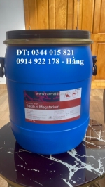 Men vi sinh bacillus megaterium, hỗ trợ đường ruột, giải pháp thay thế kháng sinh
