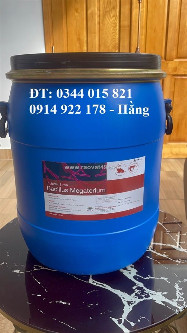 Men vi sinh bacillus megaterium, hỗ trợ đường ruột, giải pháp thay thế kháng sinh