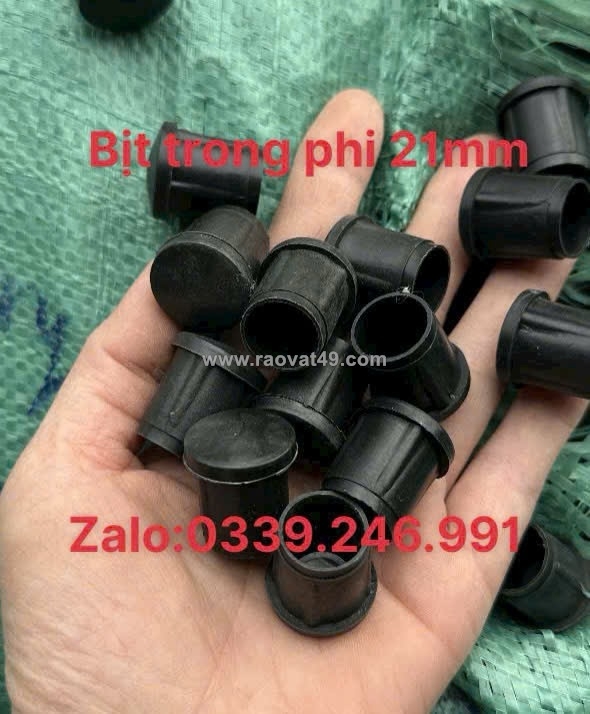 ~/Img/2026/9/mua-dau-bit-ong-phi-21-o-dau-gia-tot-02.jpg