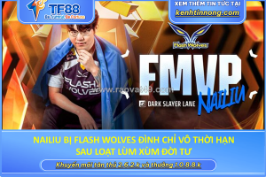 Nailiu bị flash wolves đình chỉ vô thời hạn sau loạt lùm xùm đời tư
