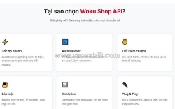 Những ai có thể sử dụng api ai? có nên chọn key api giá rẻ?