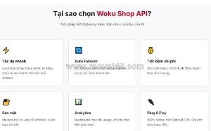 Những ai có thể sử dụng api ai? có nên chọn key api giá rẻ?