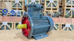 So sánh động cơ phòng nổ 1 pha và động cơ thông thường