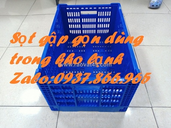 ~/Img/2026/9/sot-cong-nghiep-sot-gap-gon-cao-30cm-sot-nguyen-sinh-02.jpg