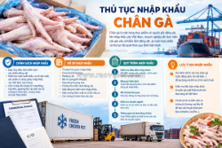 Thủ tục nhập khẩu chân gà