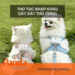 Thủ tục nhập khẩu dây dắt thú cưng