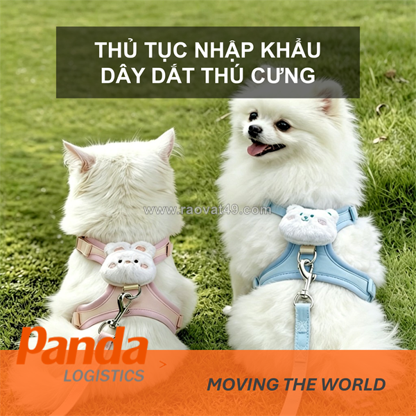 Thủ tục nhập khẩu dây dắt thú cưng