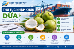 Thủ tục nhập khẩu dừa